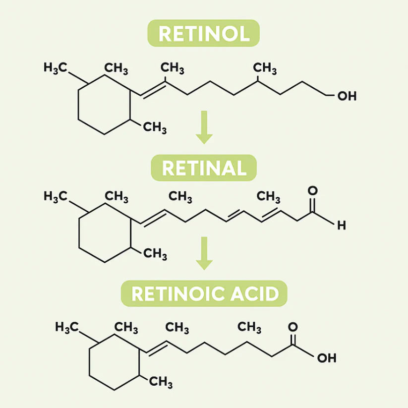 Fiorea® Retinal Shot - Adiós Arrugas y Lineas de Expresion