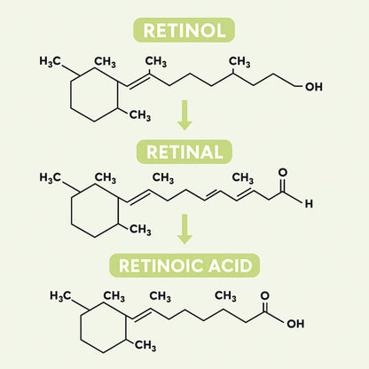 Fiorea® Retinal Shot - Adiós Arrugas y Lineas de Expresion